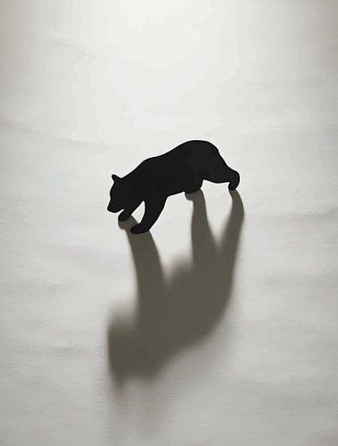 Black Bear Shadow in White Wilderness by Ramy Salah Hefny