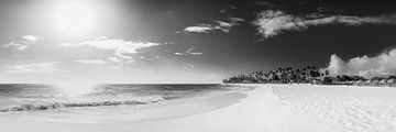 Traumhafter Strand auf der Insel Aruba in der Karibik. von Manfred Voss, Schwarz-weiss Fotografie