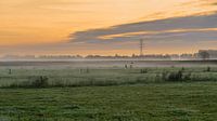 Orangefarbener Sonnenaufgang über nebligen Wiesen