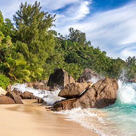 Traumstrand Insel Mahe von Manfred Schmierl