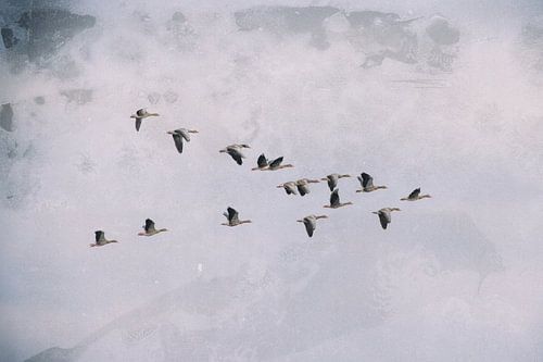 Gänsewanderung Foto in Tapete umgewandelt rellief
