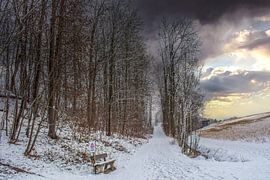 DE - Baden-Wuerttemberg : Paysage d'hiver