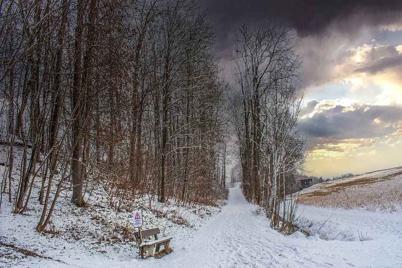 DE - Baden-Württemberg : Winterlandschap van Photoart-Naegele
