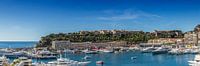 MONACO Port Hercule | Panorama  van Melanie Viola thumbnail