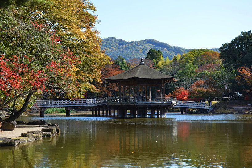 Parc de Nara Japon par Laura van Slochteren