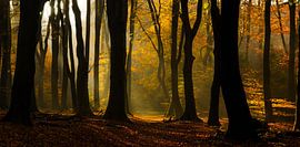 Panorama de Speulder sur Martin Podt