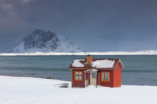 Cabin Lofoten