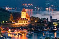 Schloss Spiez, Schweiz von Henk Meijer Photography Miniaturansicht