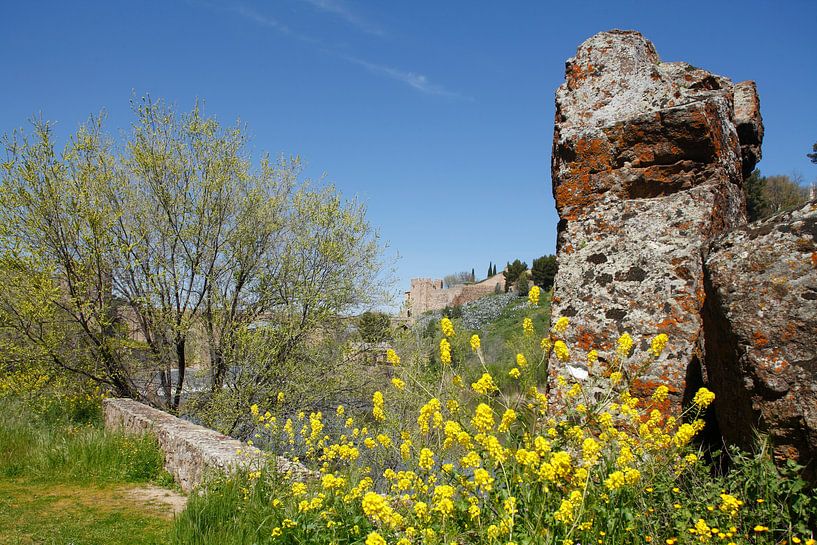 Puente de San Martin, Brücke, Fluss Tajo, Toledo von Torsten Krüger