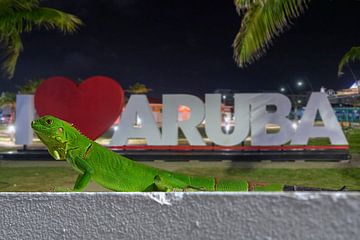I love Aruba letters van Humphry Jacobs