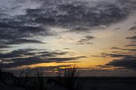 Marram grass on Dutch beach dune with sunset by Peter van Weel thumbnail