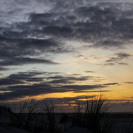 Herbe à bernache sur une dune de plage néerlandaise avec coucher de soleil sur Peter van Weel