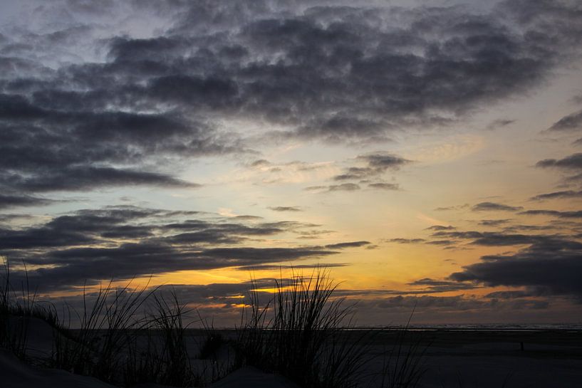 Marram grass on Dutch beach dune with sunset by Peter van Weel
