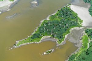 Luftaufnahme Naturschutzgebiet Oostvaardersplassen von aerovista luchtfotografie