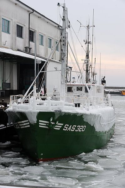 Iced boat in the harbour of Sassnitz by Alphapics