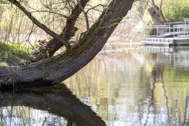 Rathenow „Stadt der Optik“ von David Krause