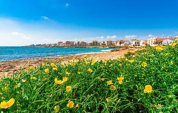 Schöner Blick auf Colonia Sant Jordi, kleine Stadt am Meer von Mallorca von Alex Winter