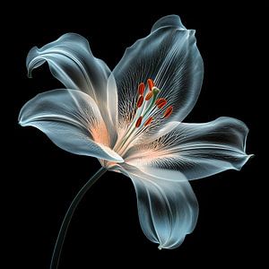 Fleur