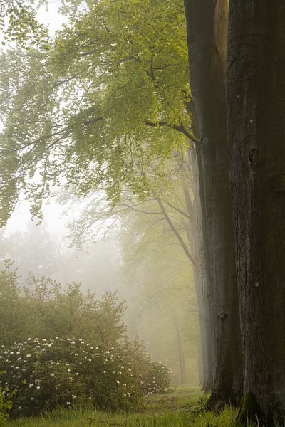 Spring feeling by Marloes ten Brinke