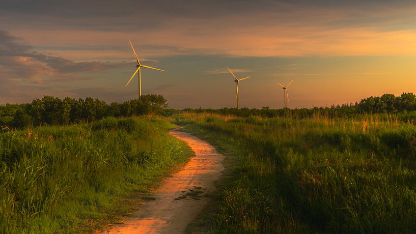La route vers l'énergie verte par Rob Baken