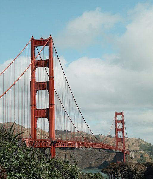 About the Bay by Pictures by Annick