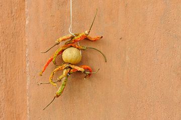 Paprika und Zitronen an der Wand in Indien