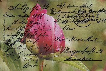 Field Post Card May 1917  by Christine Nöhmeier