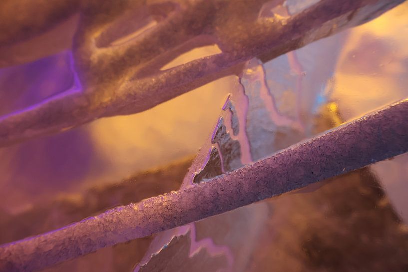 Rêves cellulaires 2 par Richard Manté
