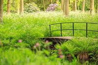 Dans le parc