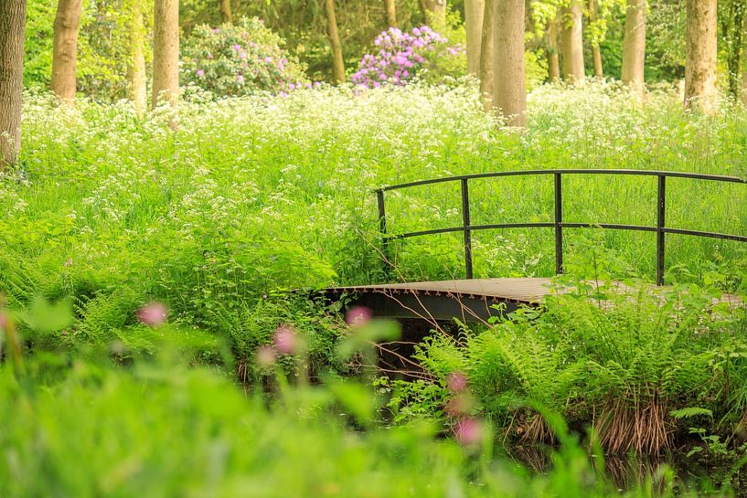 Dans le parc par astrid buys