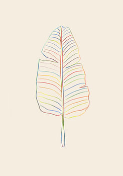 Banane Regenbogenblatt