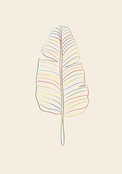 Banana Rainbow Leaf, 1x Studio by 1x