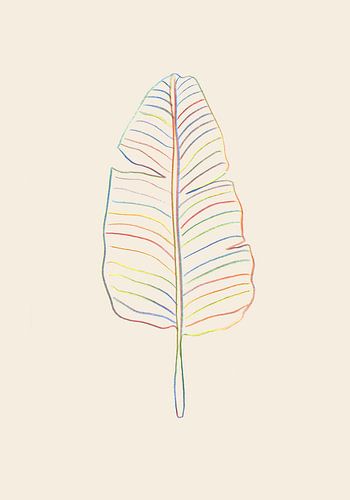Banana Rainbow Leaf