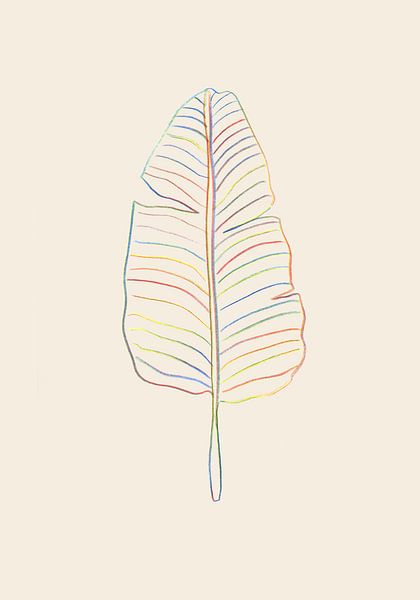 Regenboog Bananenblad van Pictufy Studio