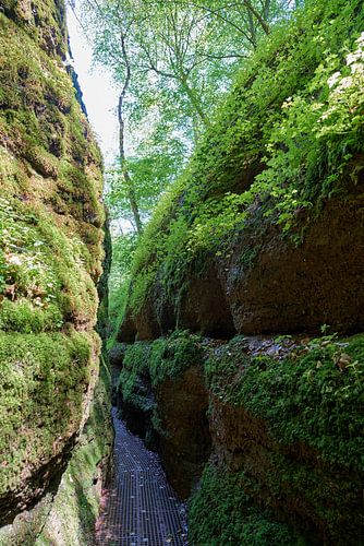 Sentier de randonnée à travers les gorges du Dragon près d'Eisenach