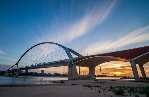 De Oversteek van Daniëlle Langelaar Photography