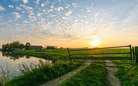 Pure Dutch landscape