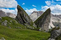 Pieralongia-Felsen