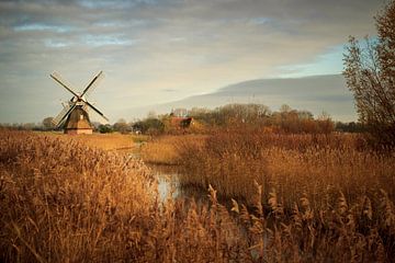 Windmühle in Kardinge von Luis Boullosa