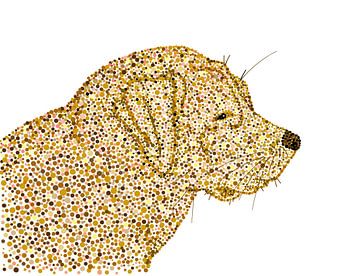 Labrador in de stijl van de stroming Pointillisme. van Studio Spanjersberg