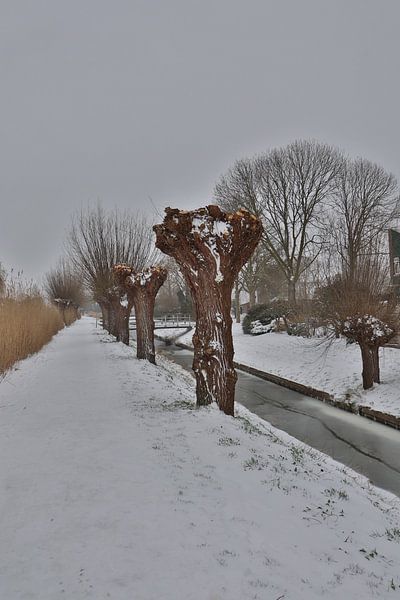 Schnee in Puttershoek von Fotografiemetangie