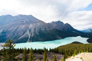 Lac Peyto, parc national Banff
