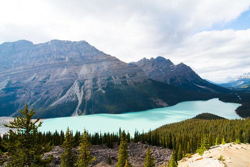 Peyto Lake, Banff National Park