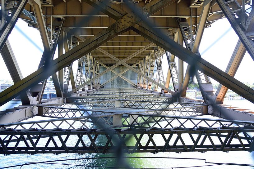 Under the Burnside Bridge by Frank's Awesome Travels