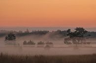 Tomorrow fog by Moetwil en van Dijk - Fotografie thumbnail