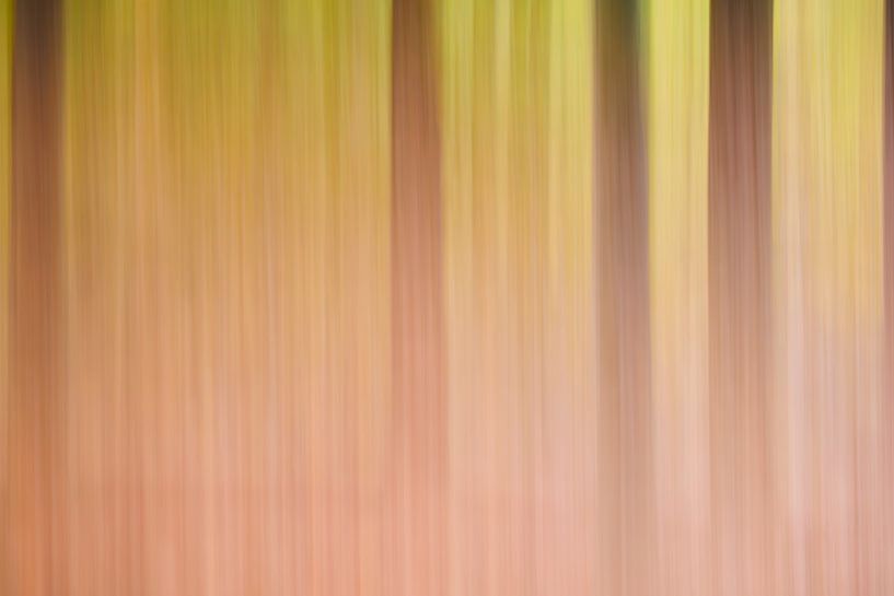 Bewogen herfstbos van Krijn van der Giessen