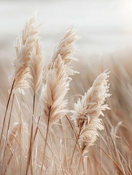 Herbe de la pampa sur la plage sur Melanie Viola