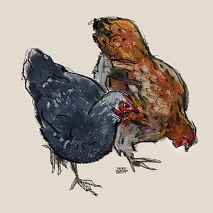 Poulets