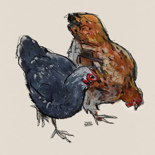 Chickens by Pieter Hogenbirk