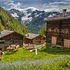 Hütten der Oberstalleralm (1.870 m) im hinteren Villgratental, Osttirol von Christian Müringer